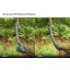 DD_Hammock_sleeve_gallery_07.jpg