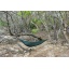 DD_SuperLight_Hammock_Olive_Green_05.jpg